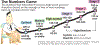Bld-Press-Chart.gif (15764 bytes)